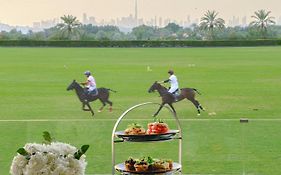 Melia Desert Palm Member Of Melia Collection